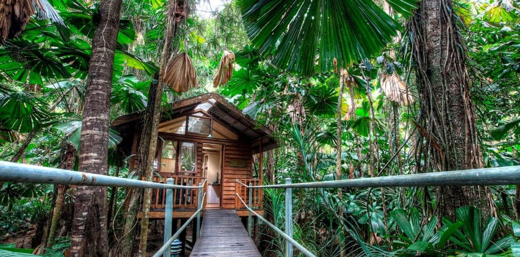 Eco-friendly Accommodations